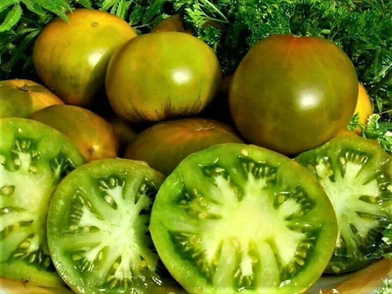 Семена алтая томат изумрудный. Томат сибирский киви. Плод у растения томат боб. Томат штамбовый изумрудное яблоко. Томат зеленый характеристика и описание сорта.