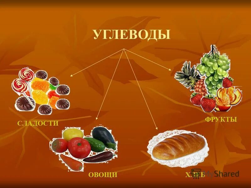 Какое питание считается здоровым? • разнообразное; •. Таблица продуктов белки жиры углеводы. В чем содержатся белки жиры и углеводы. Пища какое число. Таблица продуктов содержащих белки жиры и углеводы.
