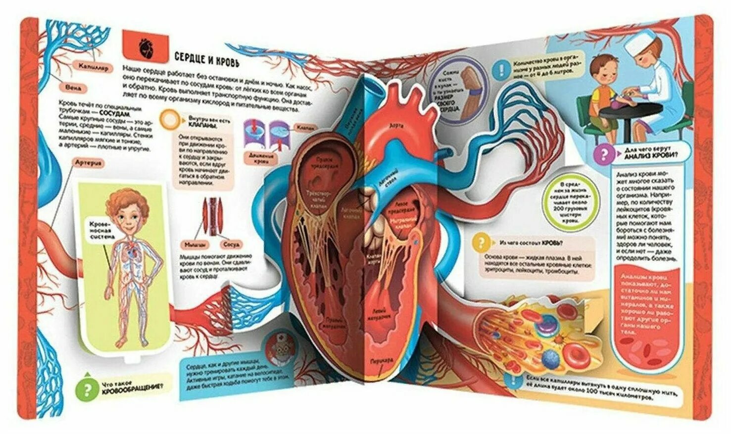 Что там под землей?. Что там под землей книга. Malamalama книги. Malamalama книги. Книжка липучки мамы и малыши malamalama.