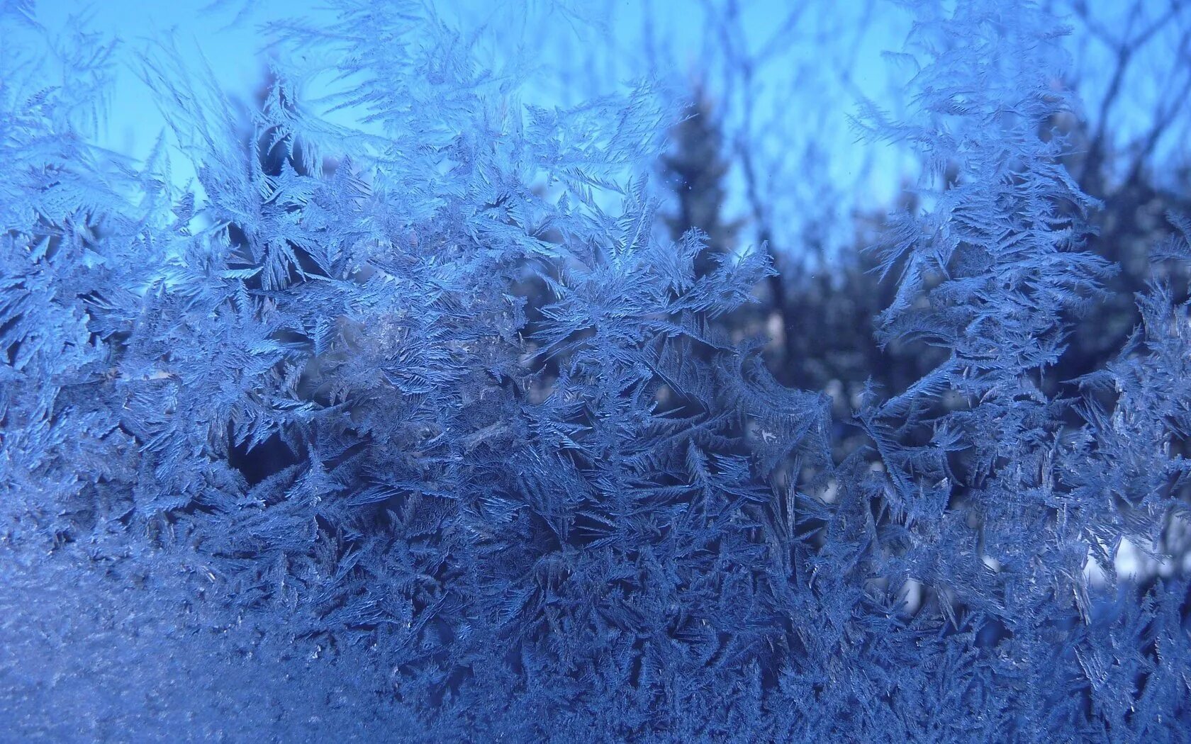Зимние картинки на рабочий стол. Снежный фон. Красивый зимний фон. Взгляд девушки в шарфе зимой. Волшебный новый год.