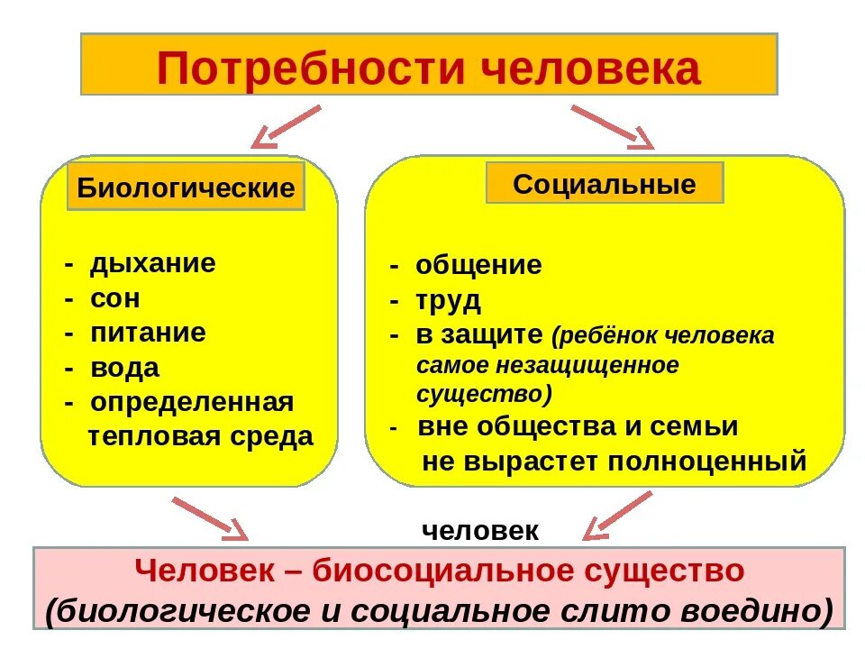 Какие есть биологические потребности человека