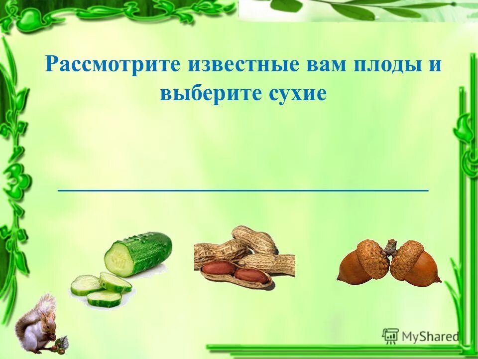Тест по биологии по теме плоды. Контрольная работа по теме плод. Тест по биологии 6 класс. Тест по теме плоды 7. Тест по биологии с ответами.