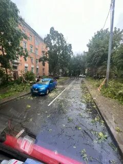 В петербурге был ураган