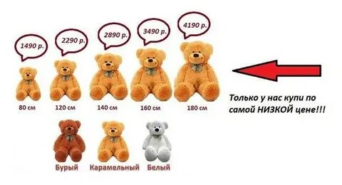На сколько больше собачек чем медвежат выступали