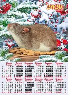Муча календарь