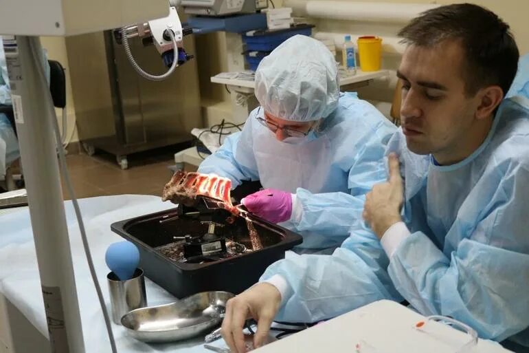 Что надо сдавать на судмедэксперта. Профессия патологоанатом презентация. Медицина обучение. Судебно медицина экстерпитизу. Что надо сдавать на судмедэксперта.