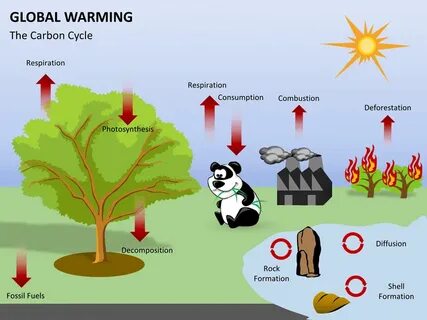 Global warming sentence