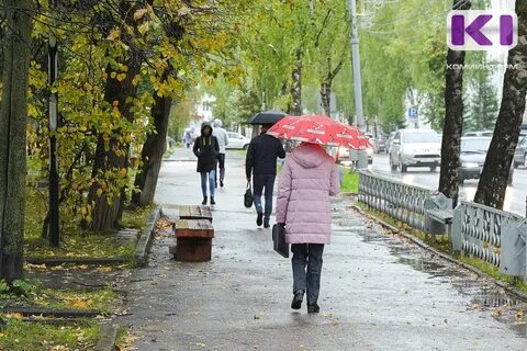 Погода в сыктывкаре в ноябре