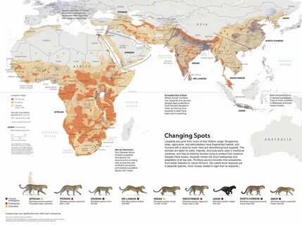 Change spots