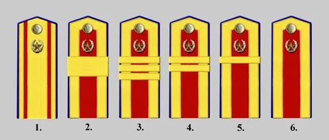Звания в училищах