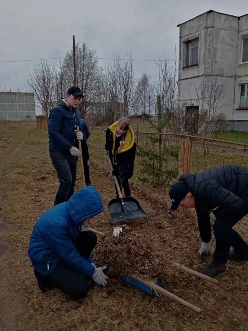о делах благоустройства