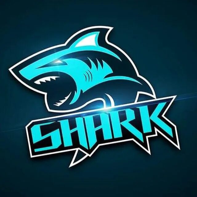 Shark ава. Акула на аву. Авы для команды. Shark для стима. Раскрутка сайта team shark