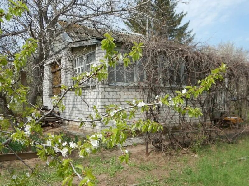 Снт родничок городищенский. Снт родничок. Орловский пруд волгоград. Снт родничок поселок верхние серги. Снт родничок городищенский.