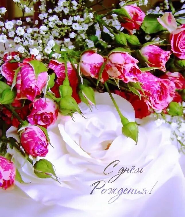 Поздравляем с днем рождения цветы. Открытки с живыми цветами. С днём рождения женщине цветы. С днём рождения женщине цветы красивые.