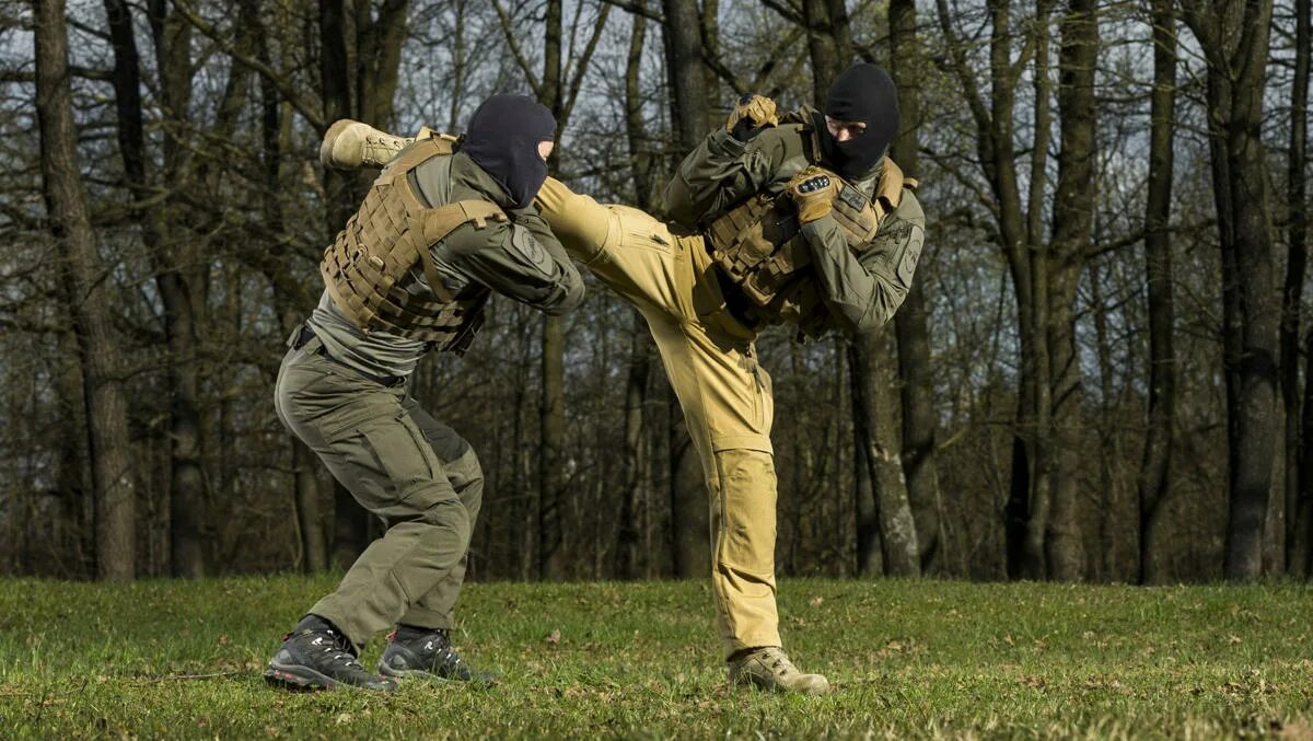 основы боевого искусства. основы боевого искусства. основы фехтования на мечах. основы боевого искусства. основы боевого искусства.