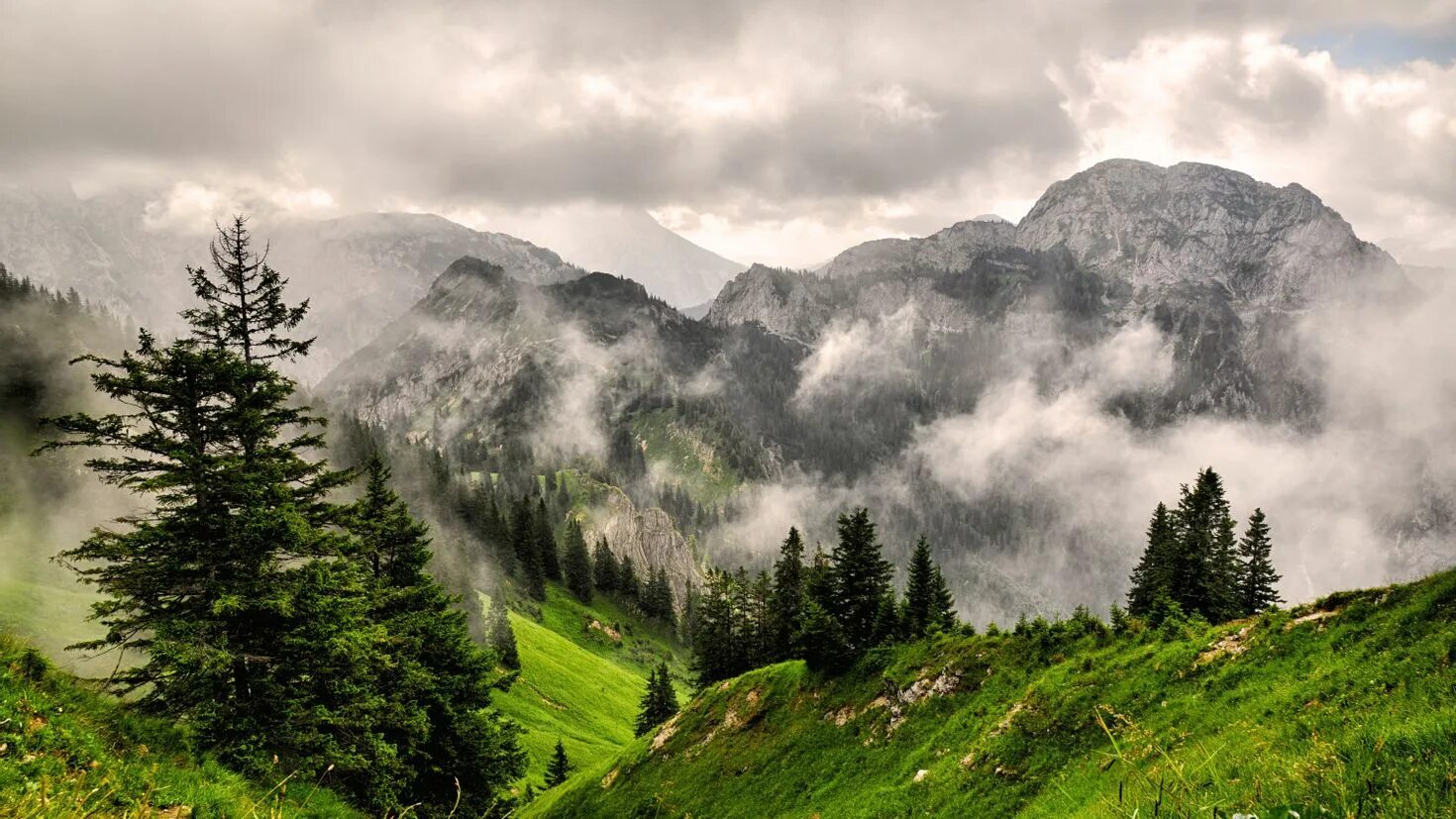 Лесистые холмы Швейцария. Лес туман горы Швейцария. Алатау горы. Горы в тумане.