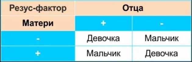 Резус факторы для зачатия ребенка. Положительный и отрицательный резус-фактор. Женщина резус положительная мужчина резус отрицательный. Пол ребенка по резус фактору родителей. Резус-фактор отрицательный у женщины и у мужчины.