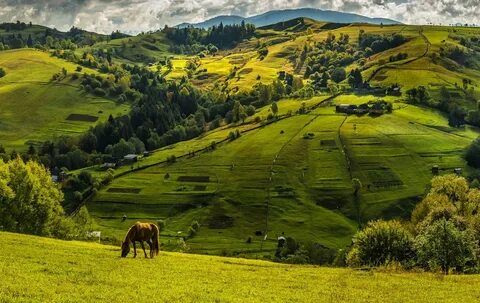 Природа украины