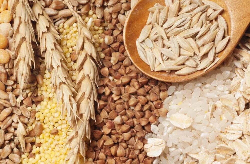 Оценка качества зерна. Подтверждение соответствия зерна. Качество зерна и продуктов его переработки. Злаки и продукты их переработки. Ассортимент и характеристика зерна и продуктов его переработки.