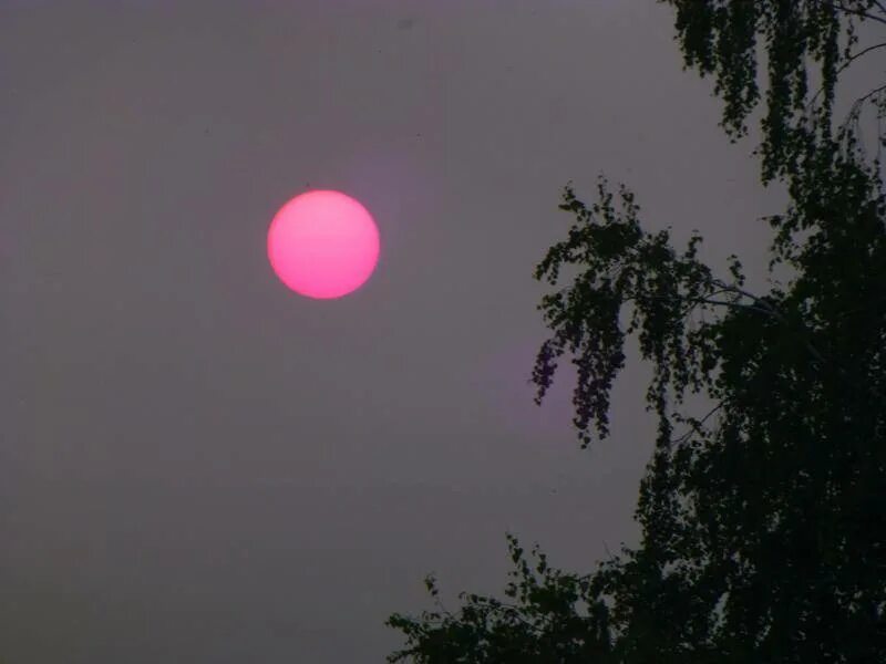 странное солнце