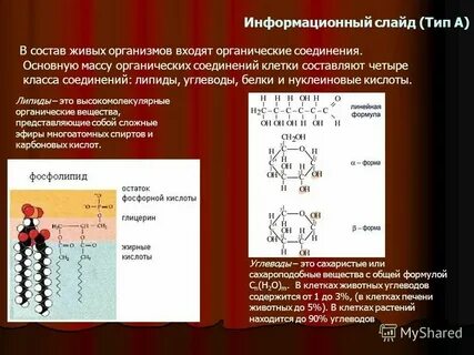 Основную массу клетки составляет ответ