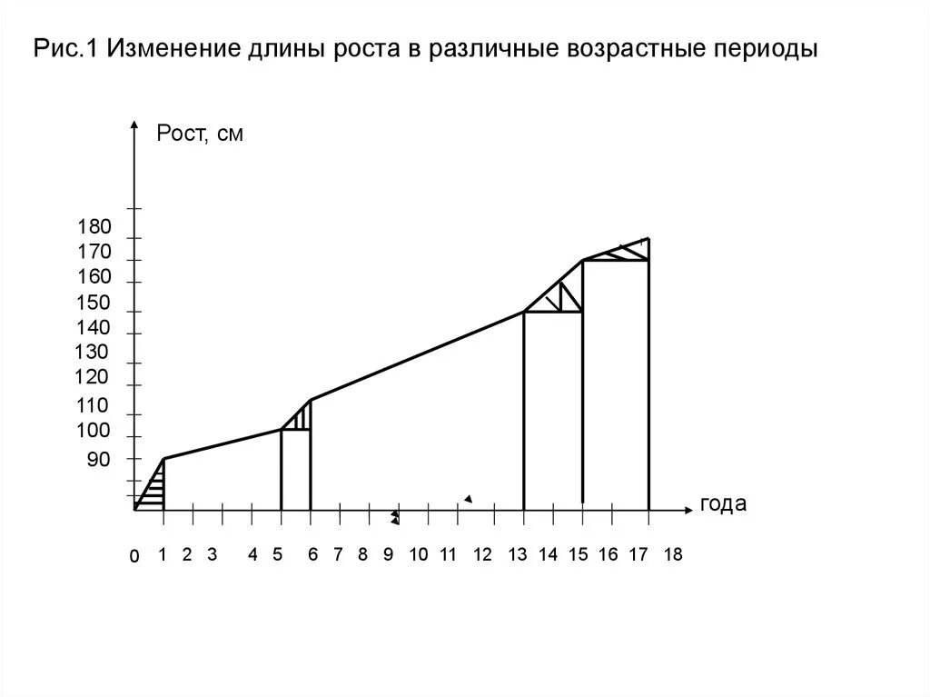 Изменение роста. Изменение роста человека. Изменение роста человека с возрастом. Возрастные изменения роста