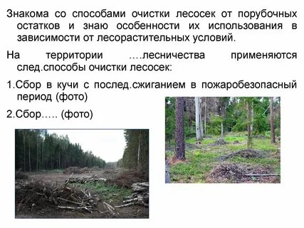 Порядок реализации древесины полученной при удалении