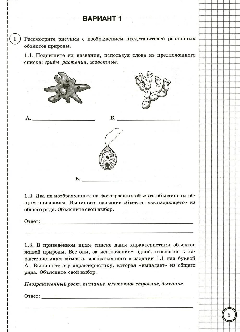 ВПР по биологии 5 класс два тип5. ВПР 5 класс биология задания на клетку. ВПР биология 5 класс вариант 2. ВПР по биологии 5 класс 2024 год. Впр биология 5 класс вариант 16