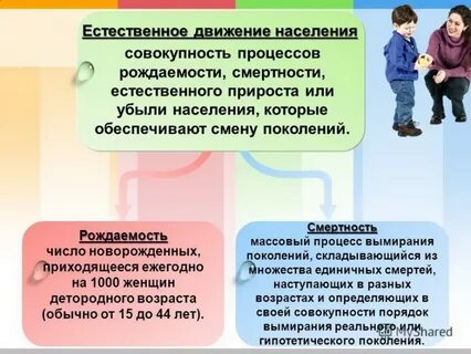 Естественное и механическое движение населения