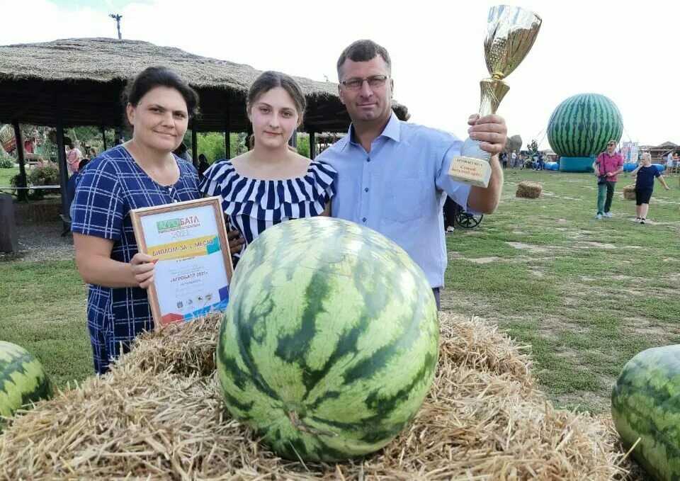 Первый арбуз весит 6. Арбуз 67 кг соль Илецк. Самый большой Арбуз в соль Илецке 67кг. Арбузная бахча соль Илецк.