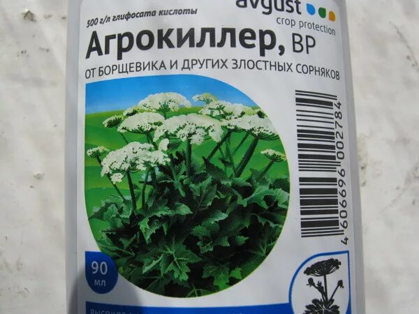Гербицид агрокиллер. Пестицид от борщевика. Препарат для уничтожения борщевика. Борщевик в медицине. Препараты от борщевика.