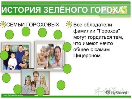 Горох семья