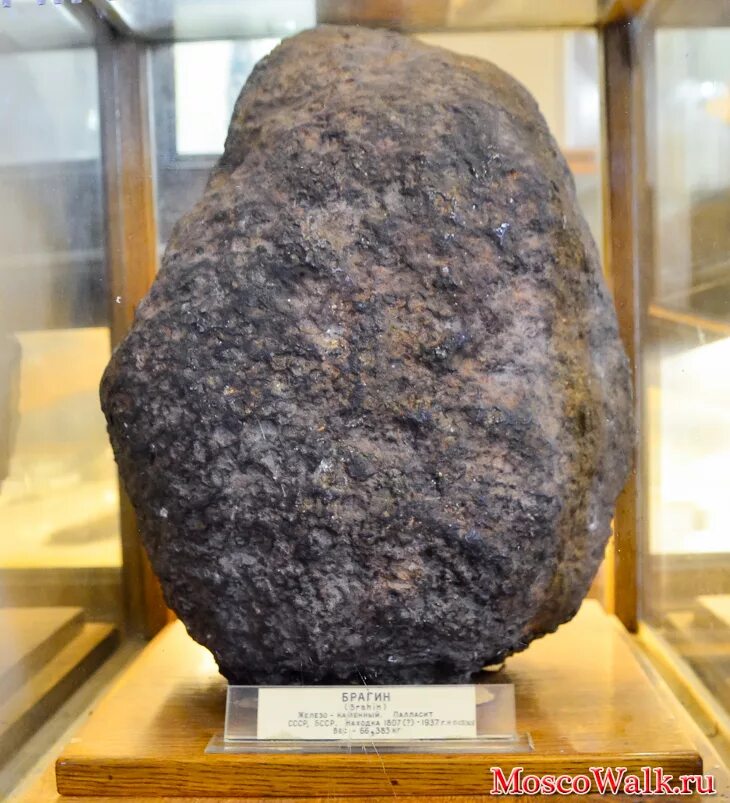 Аукцион метеоритов международный. Железокаменные метеориты. Метеорит брагин. Метеорит с золотом. Нортон каунти метеорит.