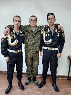 Чита морская