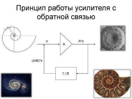 Принцип работы усилителя