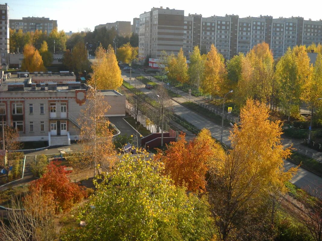 Октябрь ижевска. Школа 88 Ижевск. Пушкинская 285 Ижевск школа 88. Мэрия Ижевска осень. Школа 285 Ижевск.