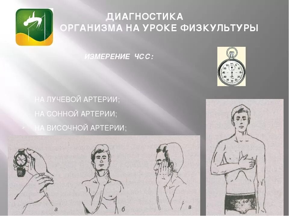Подсчет сердечных сокращений человека название метода. Способы измерения чсс. измерение частоты сердечных сокращений. измерение пульса на уроках физической культуры. способы подсчета чсс.
