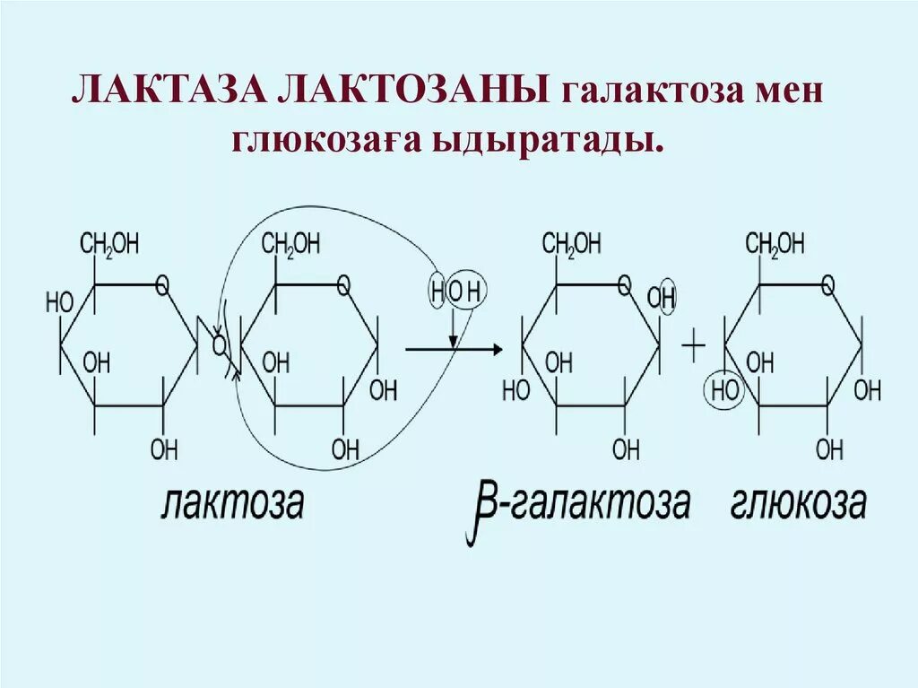 Галактоза структурная формула. Альфа галактоза формула. Галактоза структурная формула циклическая. Д галактоза Альфа и бета.