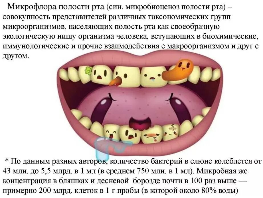 Какие бактерии во рту