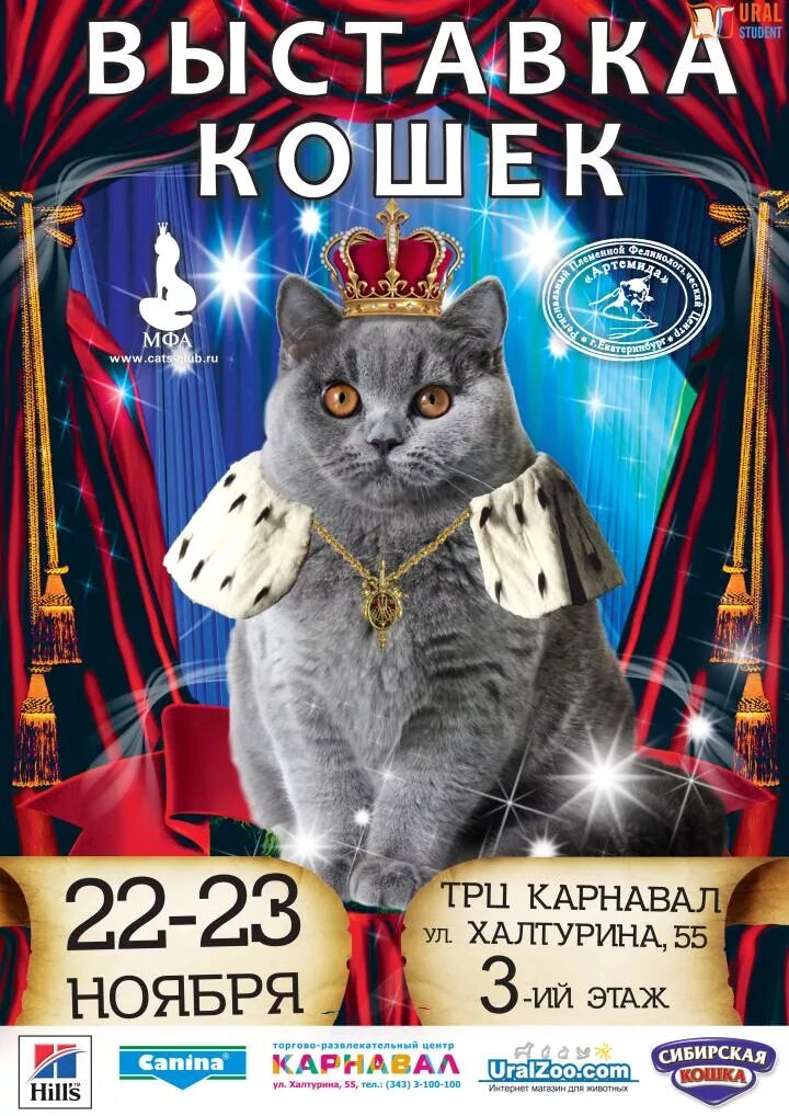 Выставка кошек афиша. Выставка котов афиша. Выставка кошек. Выставка кошек. Выставка кошек плакат.