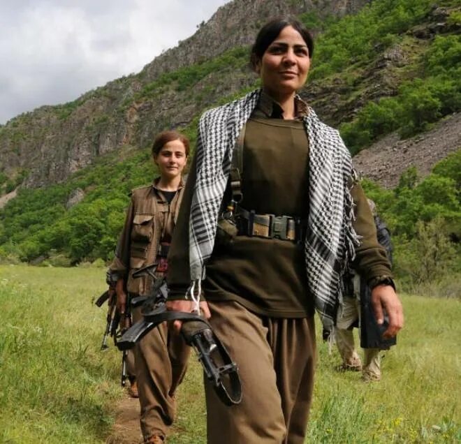 Pkk search