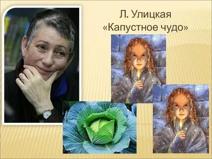 Рассказа улицкой капустное чудо