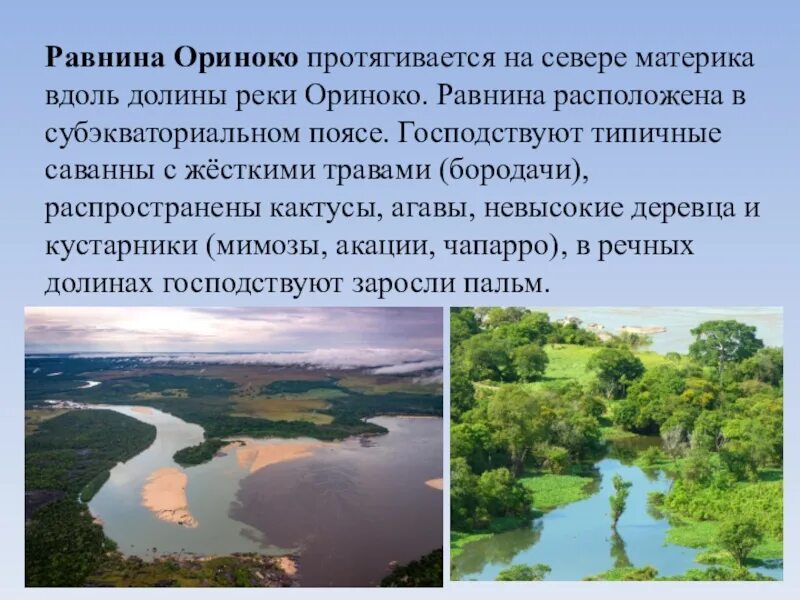 Исток реки ориноко на карте. Материк реки ориноко. Притоки реки ориноко. Дельта ориноко венесуэла. Устье ориноко на карте.