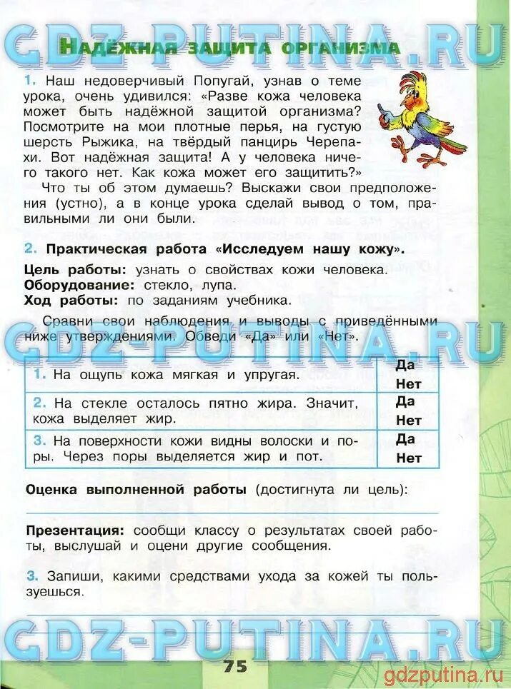 Кожа на ощупь 3 класс
