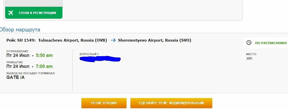 Шереметьево зарегистрироваться на рейс. Шереметьево зарегистрироваться на рейс