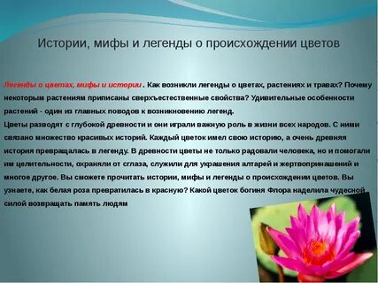 Красивые легенды о цветах