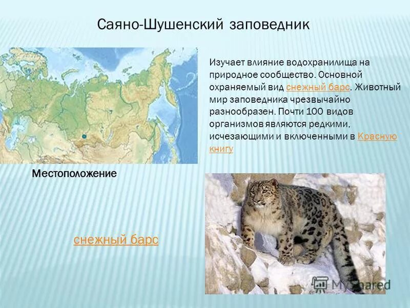 Саяно Шушенский заповедник Красноярского края. Саяно Шушенский заповедник Красноярского края описание. Саяно-Шушенский заповедник местоположение. Территория Саяно-Шушенского заповедника. Саяно шушенский заповедник презентация 2 класс