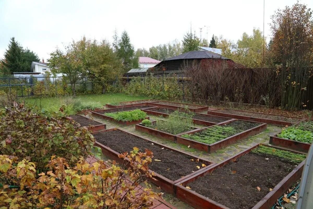 Купить огород участок. Распланировать огород. Грядки в огороде. Планировка огорода. Расположение грядок на дачном участке.