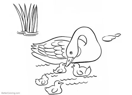 Lake coloring books