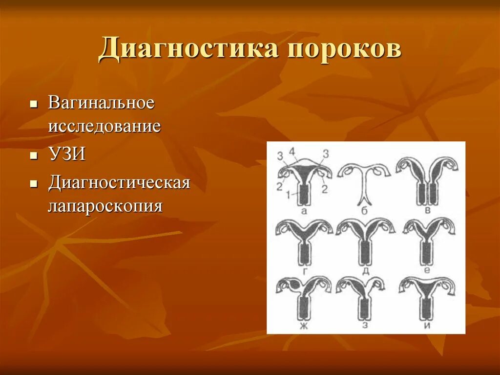 Аномалии развития и положения женских половых органов. Аномалии развития органов. Аномалии развития матки. Аномалии развития женских половых органов. Аномалии развития матки классификация.